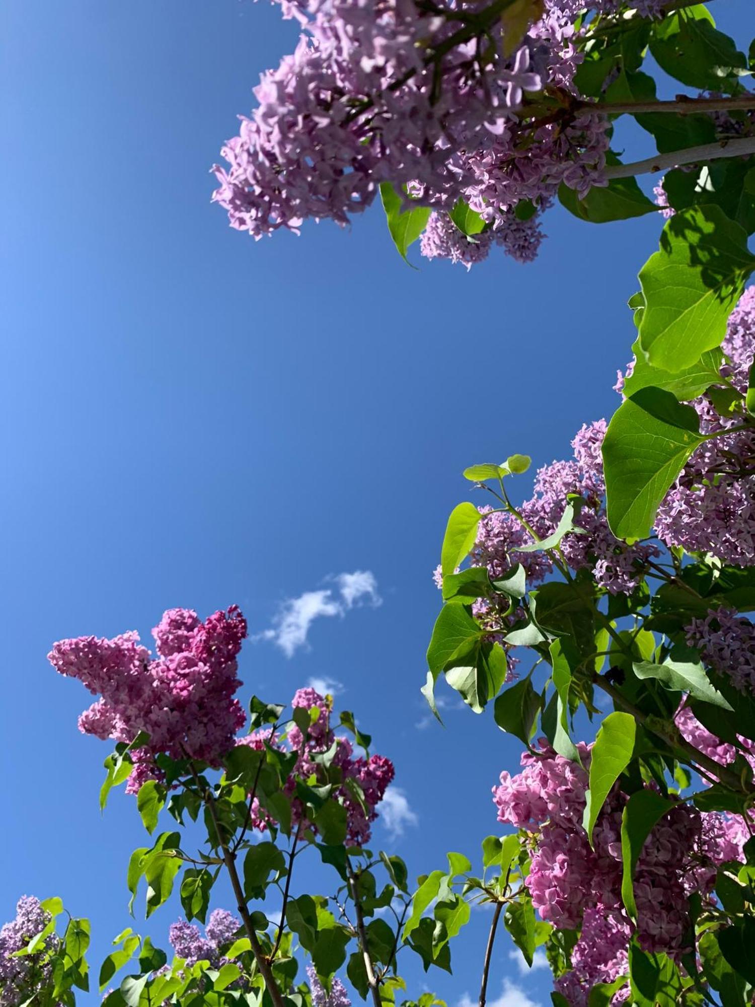 Karlshamn 1 Sankt Anna Soederkoeping Villa Ngoại thất bức ảnh
