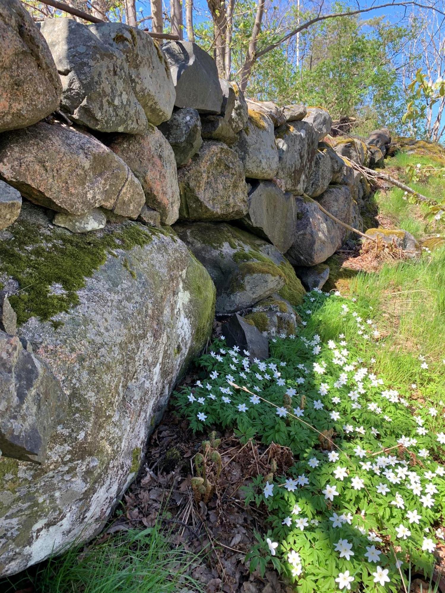 Karlshamn 1 Sankt Anna Soederkoeping Villa Ngoại thất bức ảnh